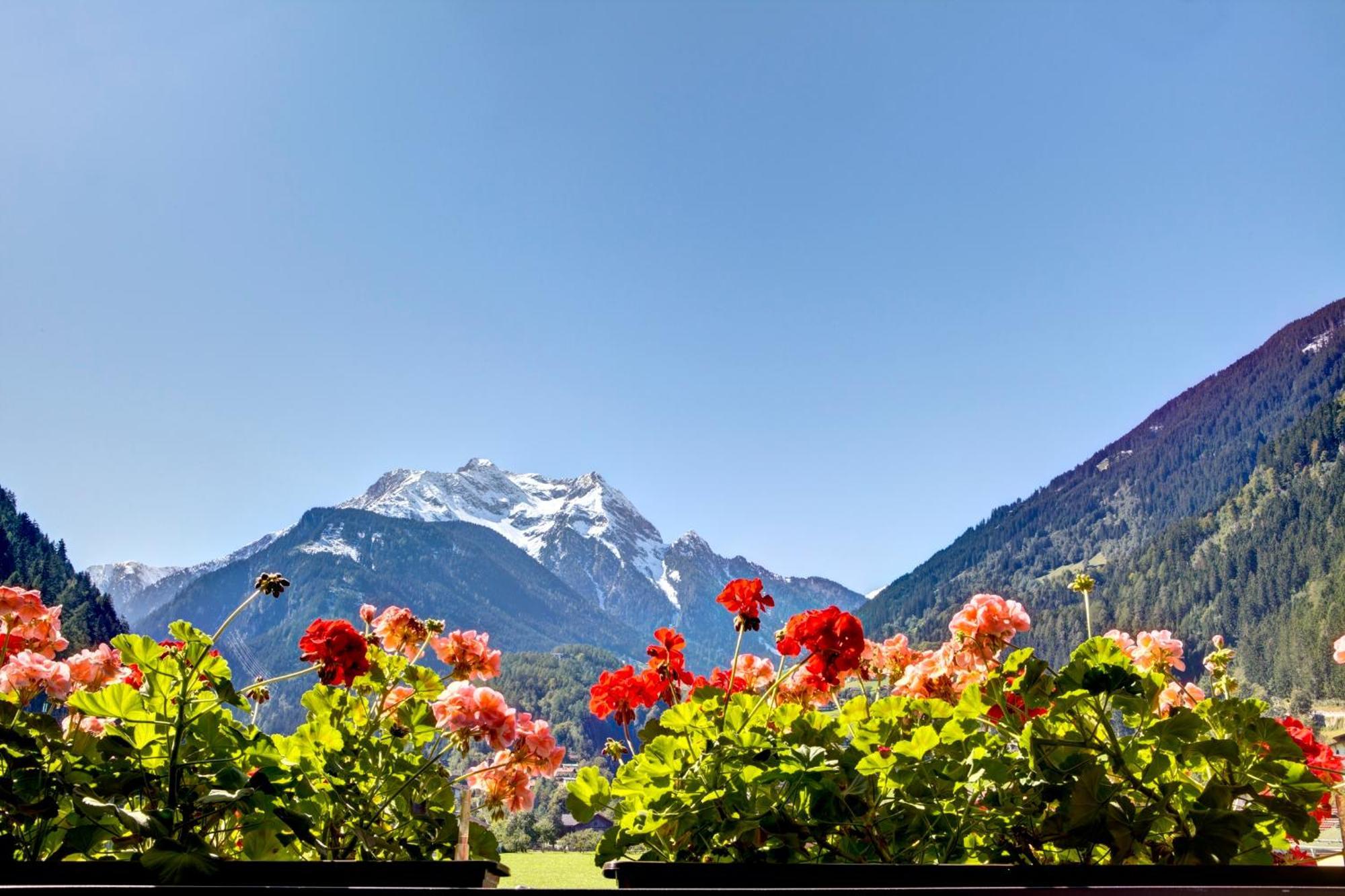 Gästehaus Oblasser Mayrhofen Exterior foto
